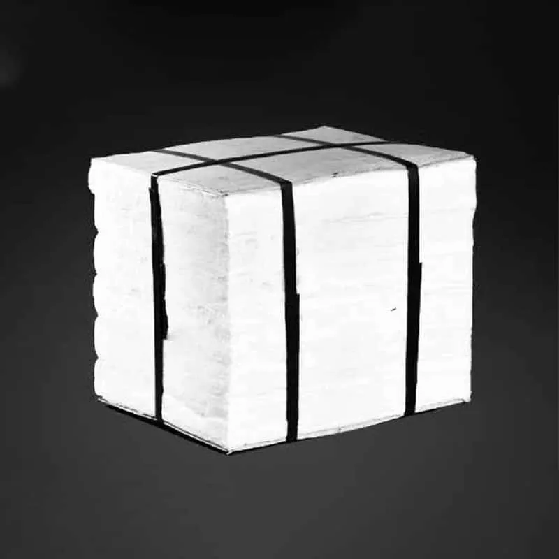 Alumina Fiber Module